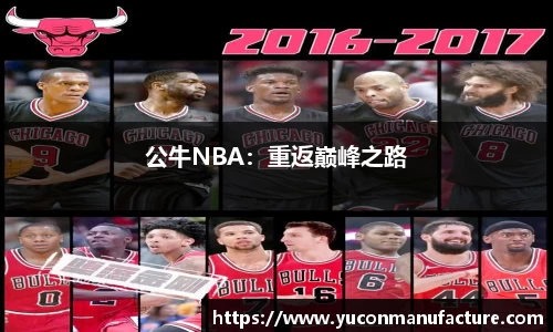 公牛NBA：重返巅峰之路